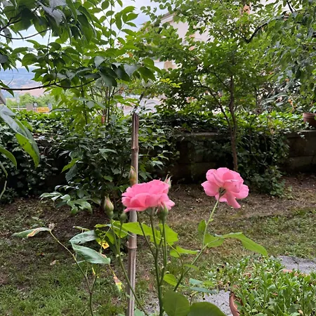 Bed & Coffee Private Parking Daire