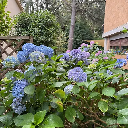 Bed & Coffee Private Parking *