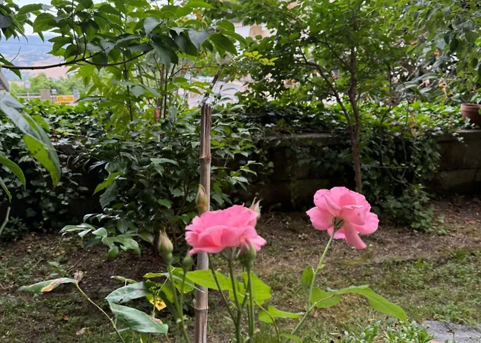 Bed & Coffee Private Parking Apartamento