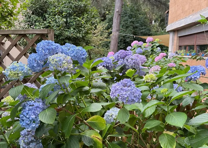 Bed & Coffee Private Parking *